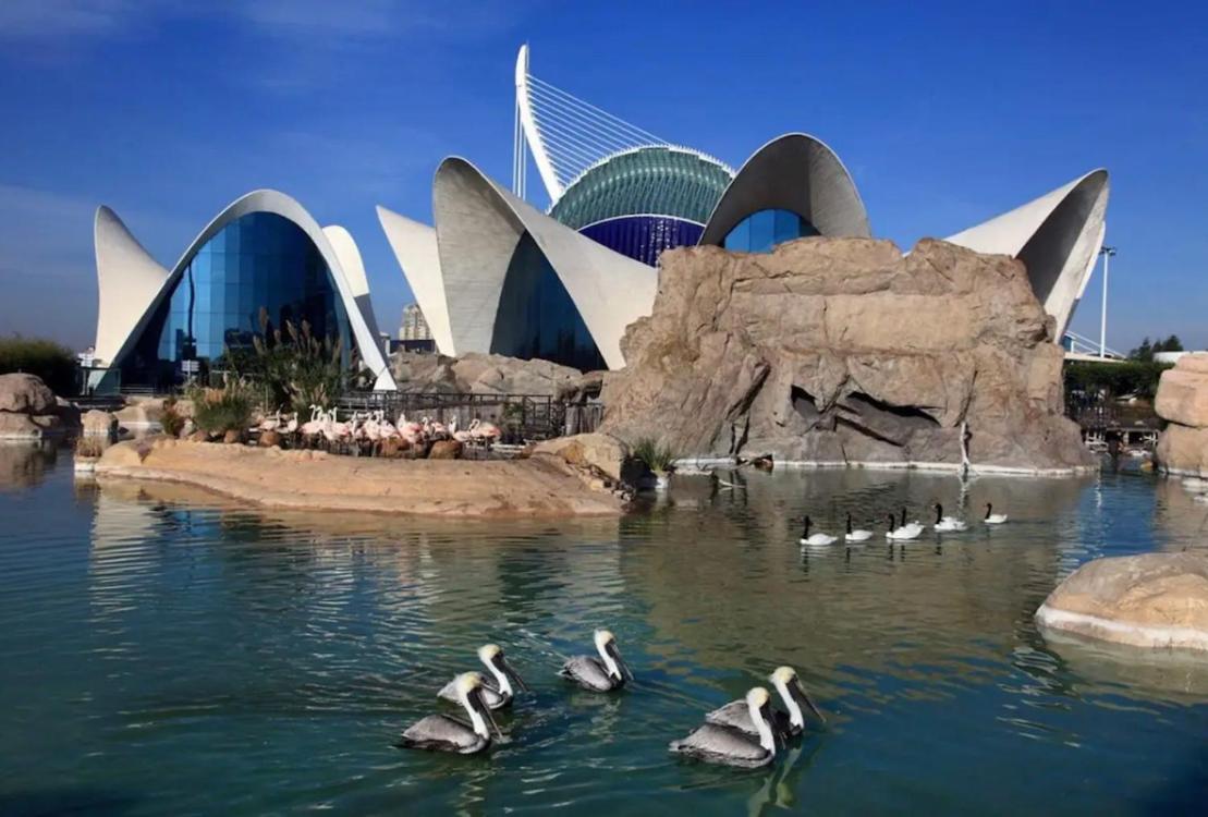 Lovely Apartment Near Beach & Science City Valencia Bagian luar foto